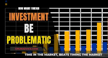 Foreign Investment's Dark Side: Uncovering Hidden Costs and Risks