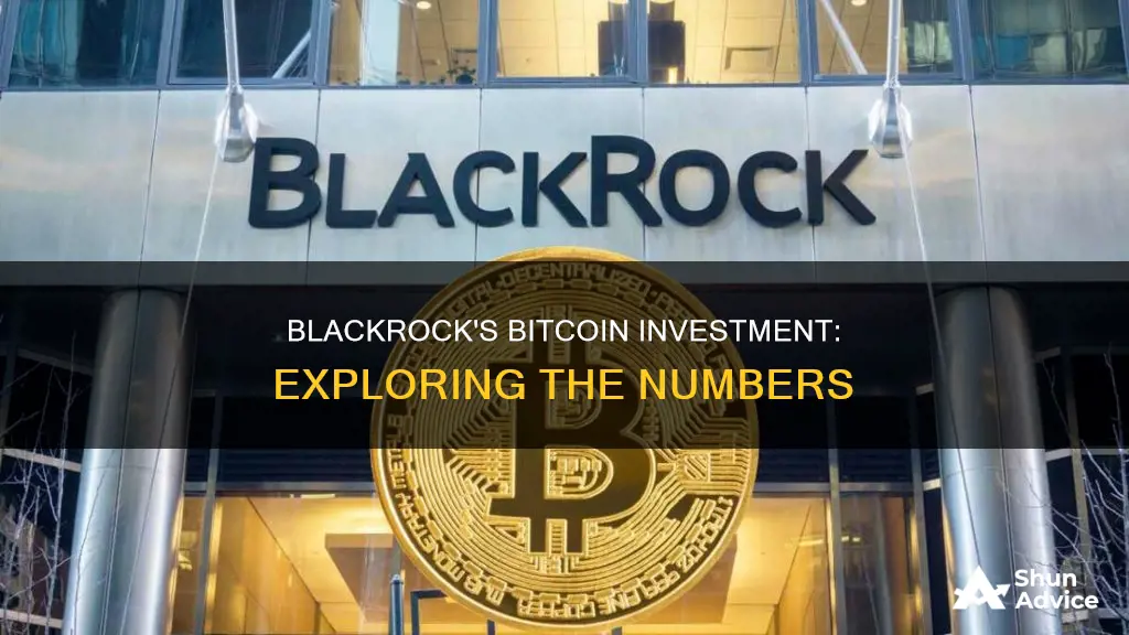 how much blackrock invested in bitcoin