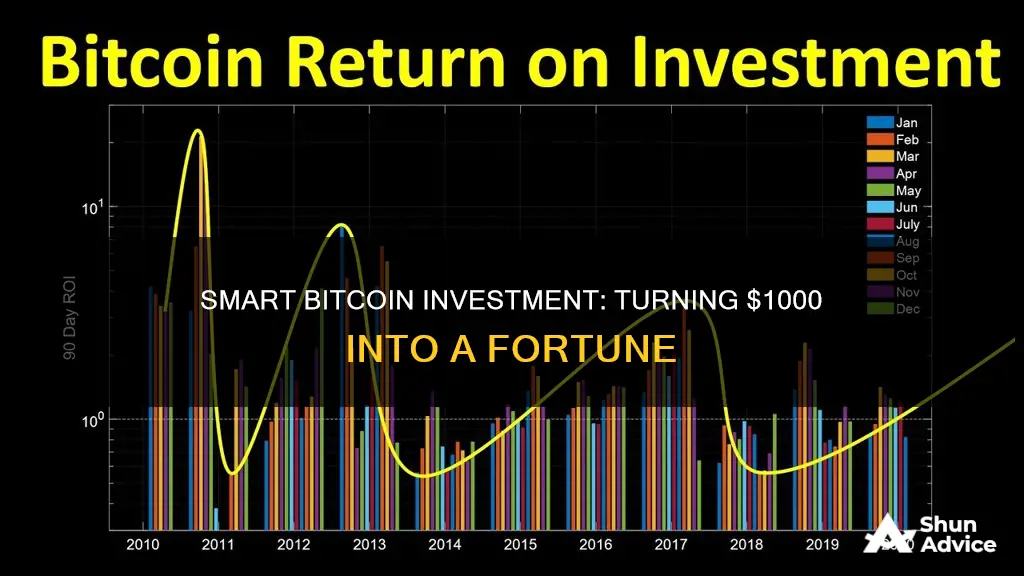 how much can be made by investing 1000 in bitcoin