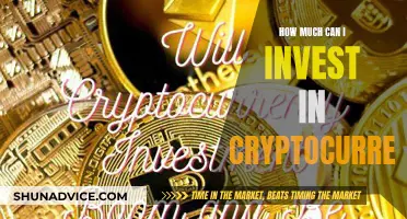 Strategic Cryptocurrency Investment: How Much to Invest?