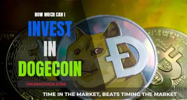 Dogecoin Investment: How Much Should You Invest?