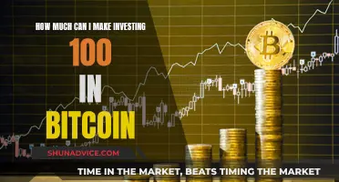 Smart Bitcoin Investments: Turning $100 into a Fortune