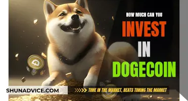 Dogecoin Investment: How Much Money Should You Risk?