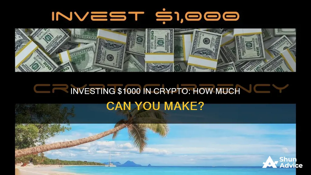 how much could you make investing 1000 in cryptocurrency