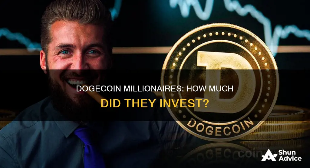 how much did dogecoin millionaire invest