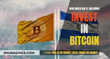 El Salvador's Bitcoin Gamble: Millions Invested