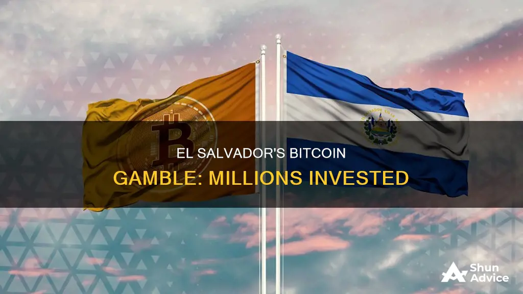 how much did el salvador invest in bitcoin