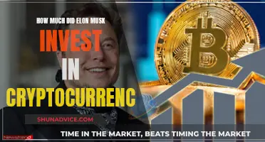 Elon Musk's Crypto Bets: How Much Did He Invest?