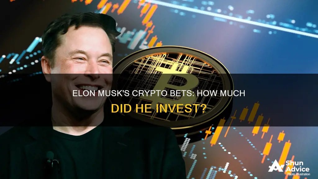 how much did elon musk invest in cryptocurrency