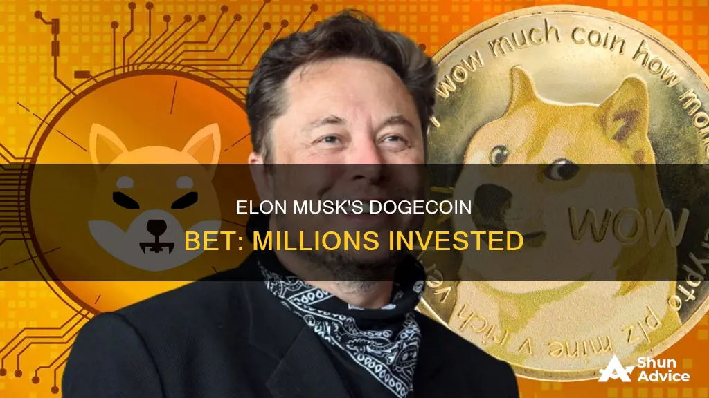 how much did elon musk invest in dogecoin