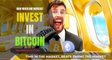 MrBeast's Bitcoin Investment: How Much Did He Risk?