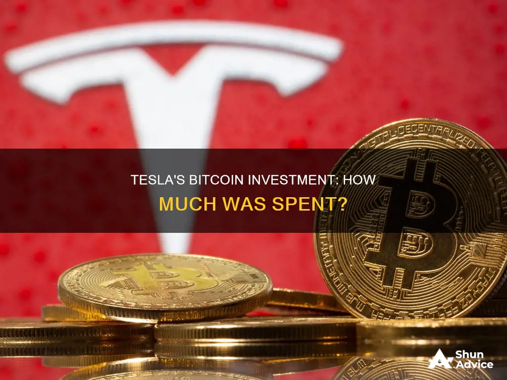 how much did tesla invest in bitcoin