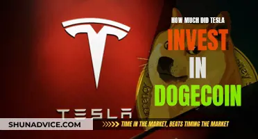 Tesla's Dogecoin Investment: A Risky Bet?