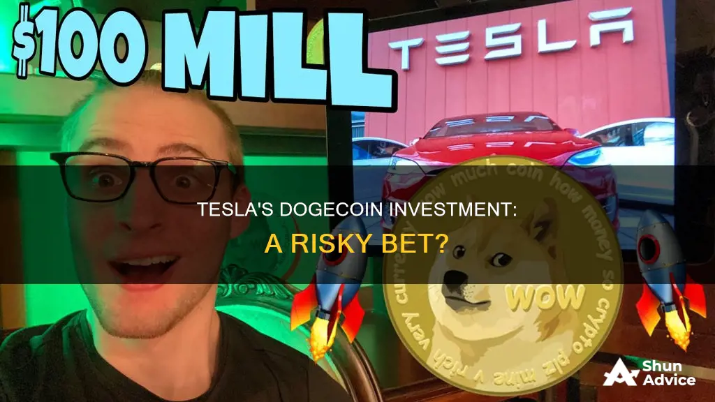 how much did tesla invest in dogecoin