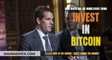 Winklevoss Twins' Bitcoin Bet: Millions Invested