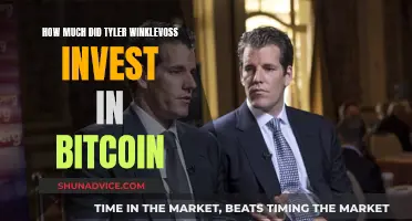 Tyler Winklevoss' Bitcoin Bet: Millions Invested