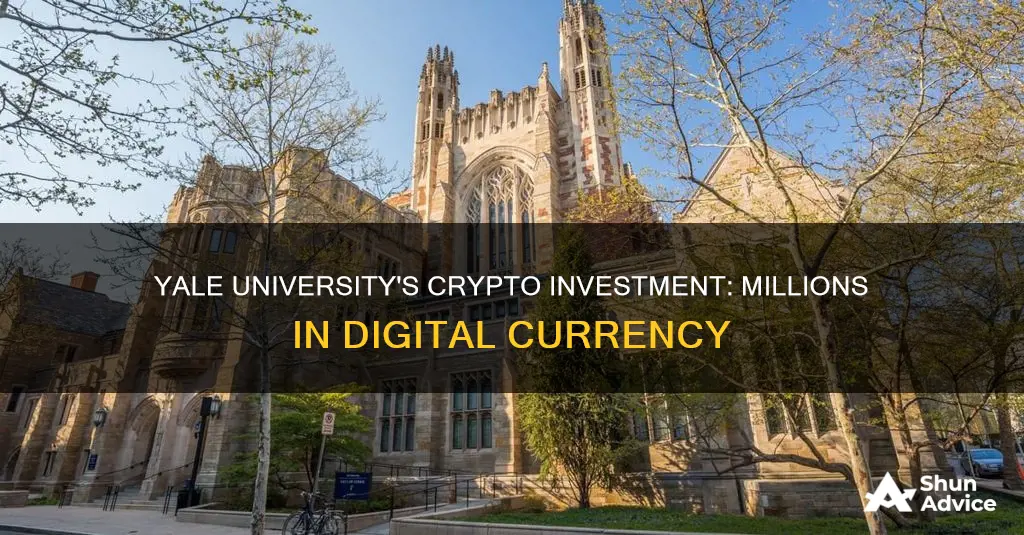 how much did yale university invest into cryptocurrency