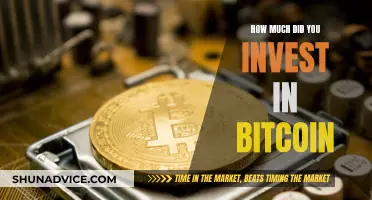 The Bitcoin Investment: How Much Did You Risk?