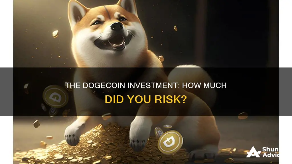 how much did you invest in dogecoin