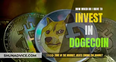 Investing in Dogecoin: How Much Money Is Needed?