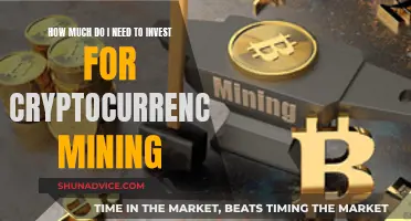 Cryptocurrency Mining: Investment Requirements for Beginners