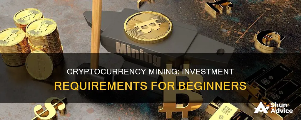 how much do I need to invest for cryptocurrency mining