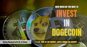 Investing in Dogecoin: How Much Is Enough?