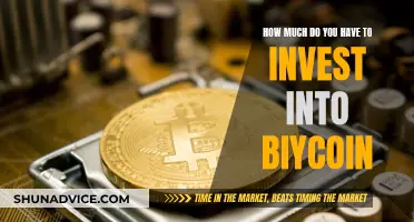 The Bitcoin Investment: How Much Should You Risk?