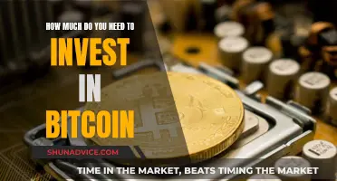 The Bitcoin Investment: How Much Money Do You Need?