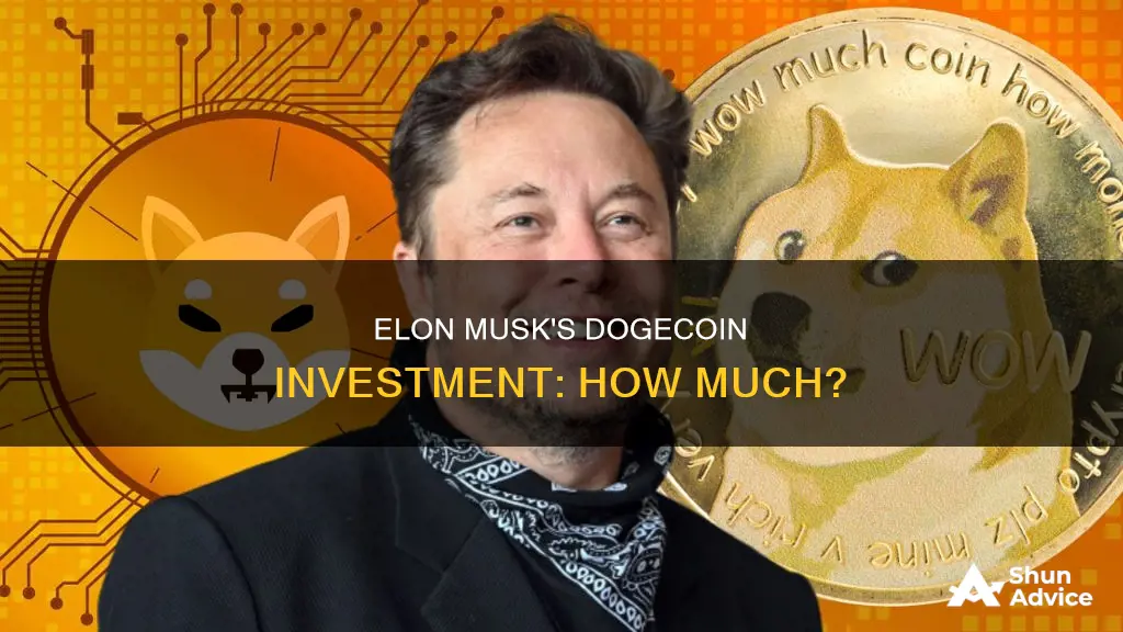 how much does elon musk have invested in dogecoin