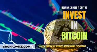 Exploring Bitcoin Investment: Understanding the Cost to Invest