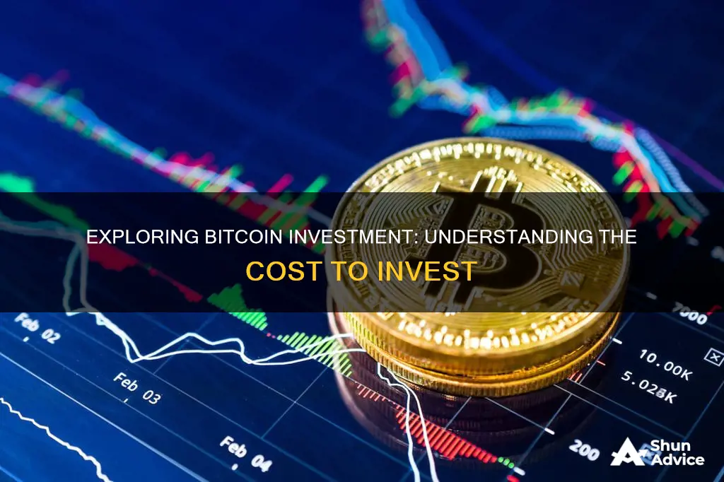 how much does it cost to invest in bitcoin