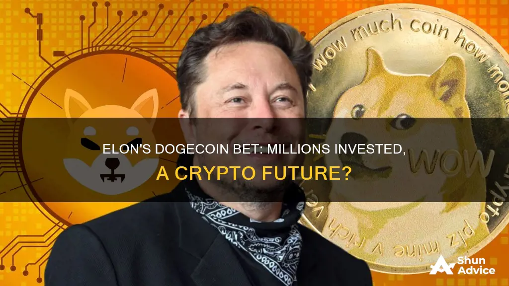 how much elon invest in dogecoin