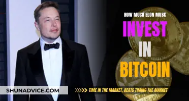 Elon Musk's Bitcoin Bet: Millions Invested