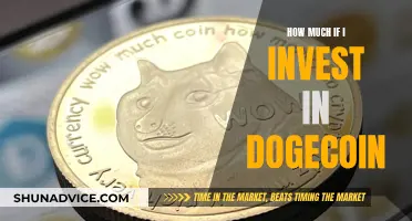 Dogecoin Investment: How Much Money Should You Invest?