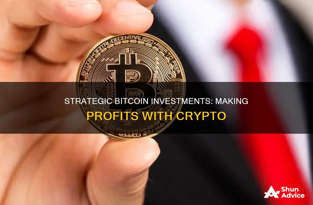 how much invest in bitcoin to make profit