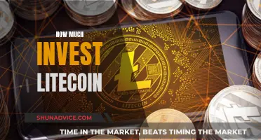 Litecoin Investment Strategies: How Much to Invest?