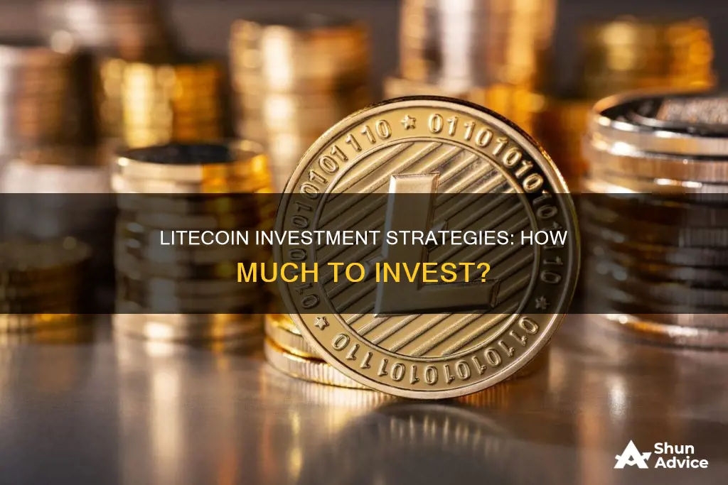 how much invest litecoin