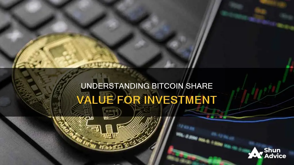 how much is a share of bitcoin investment