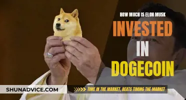 Elon Musk's Dogecoin Investment: How Much?