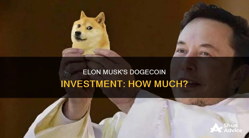 how much is elon musk invested in dogecoin