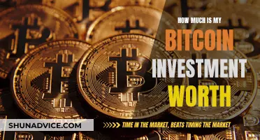 Your Bitcoin Investment: Value and Worth