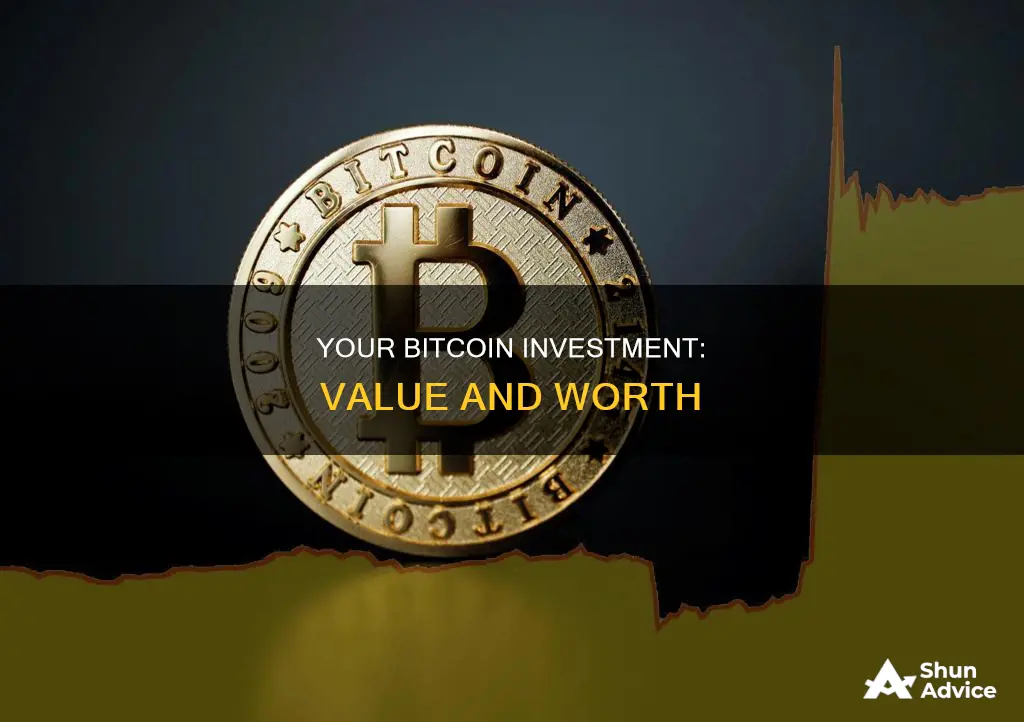 how much is my bitcoin investment worth