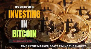 Is Bitcoin a Worthy Investment?