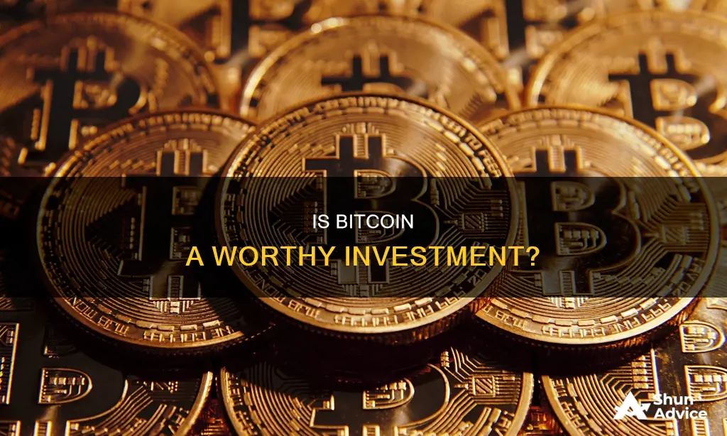 how much is worth investing in bitcoin