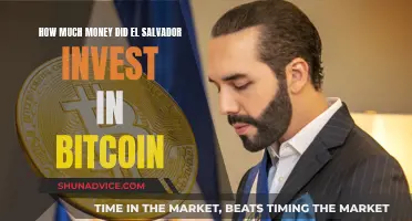 El Salvador's Bitcoin Gamble: Millions Invested