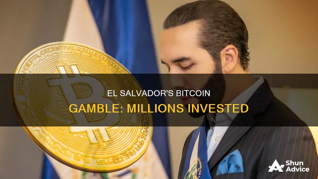 how much money did el salvador invest in bitcoin