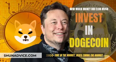 Elon Musk's Dogecoin Investment: Millions Spent on Memes