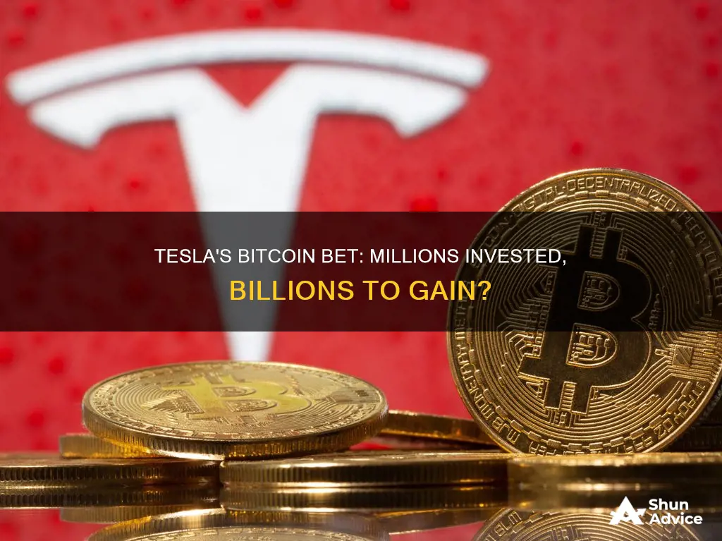 how much money did tesla invest in bitcoin