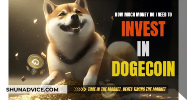 Investing in Dogecoin: How Much Money is Needed?